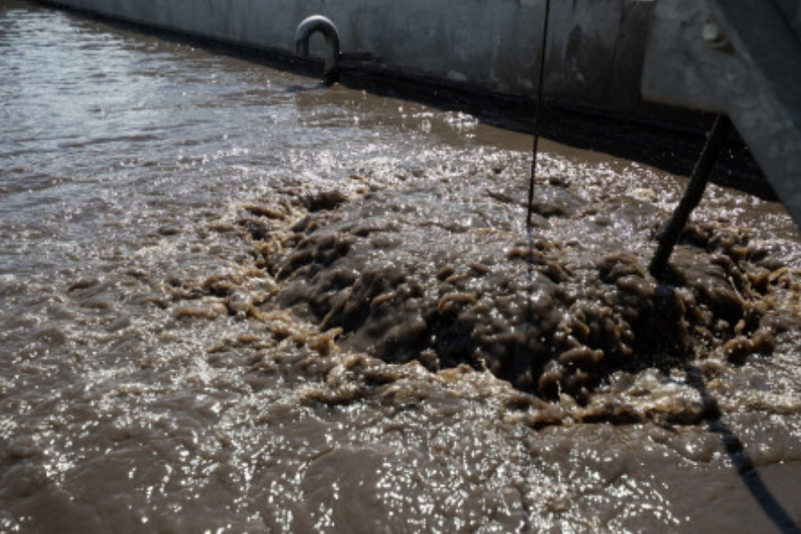 Фото из архива rugrad