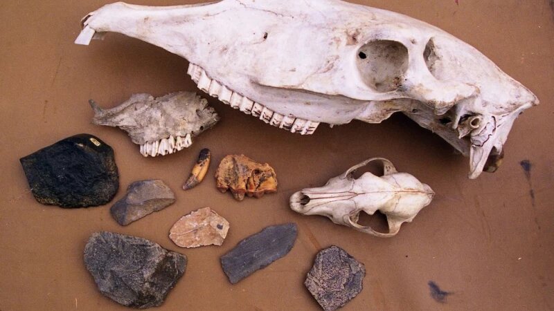     Раскопки в Денисовой пещере в 2010 году. Олег Богданов