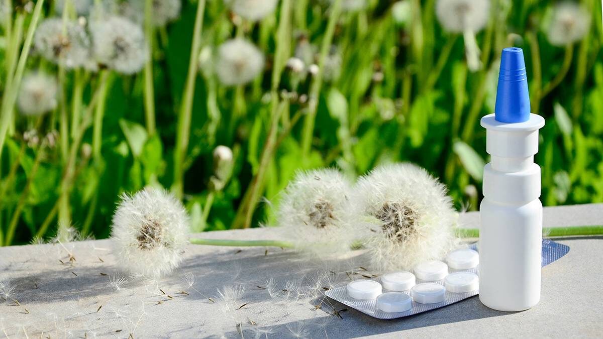    Фото: Shutterstock