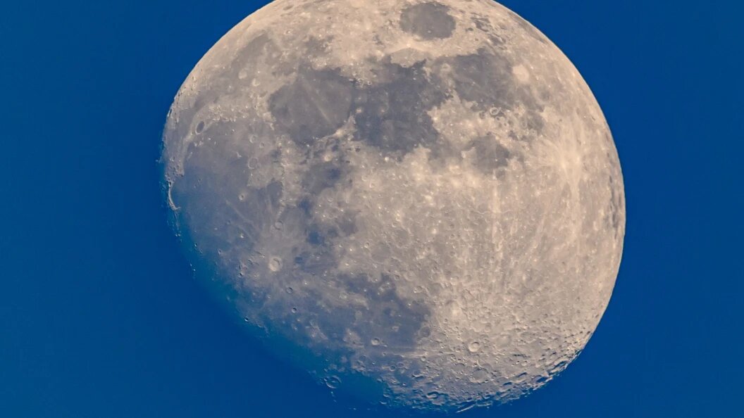    Фото: Patrick Pleul/dpa/Globallookpress