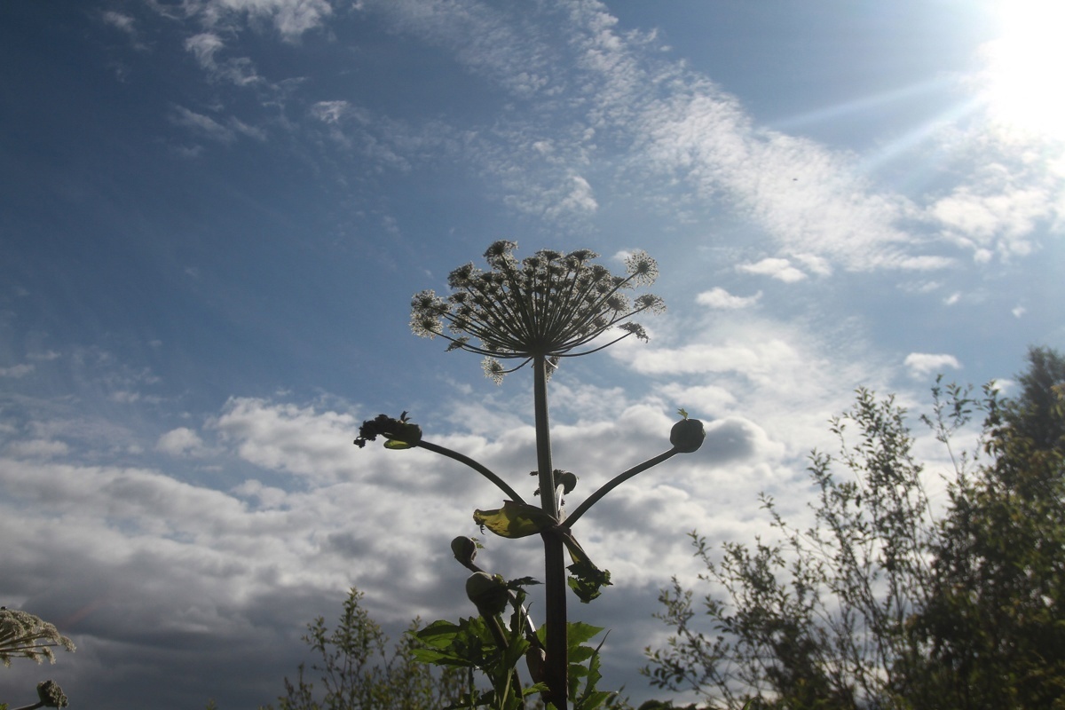 Автор фото: Павел Хацаюк / ИД «Вечерняя Казань»