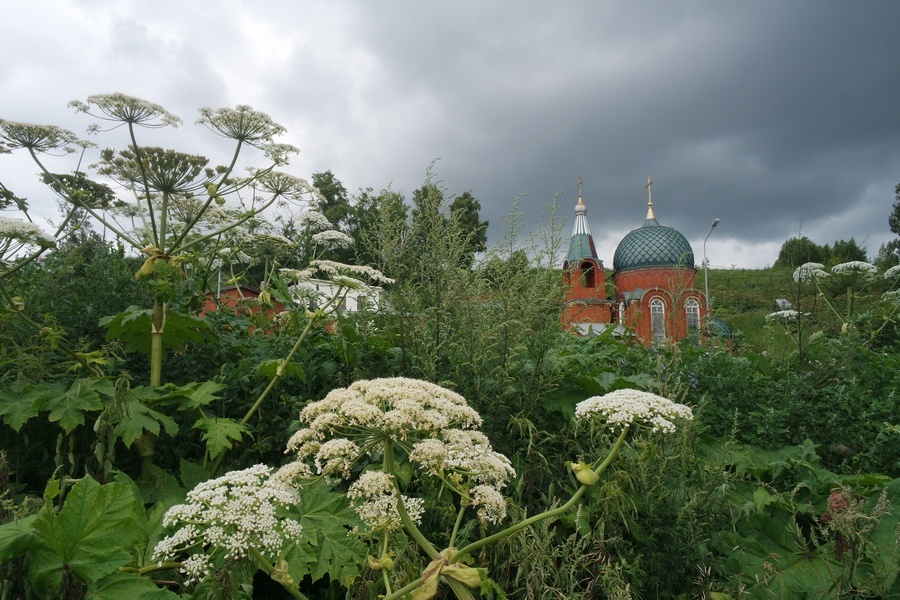 Автор фото: Павел Хацаюк / ИД «Вечерняя Казань»