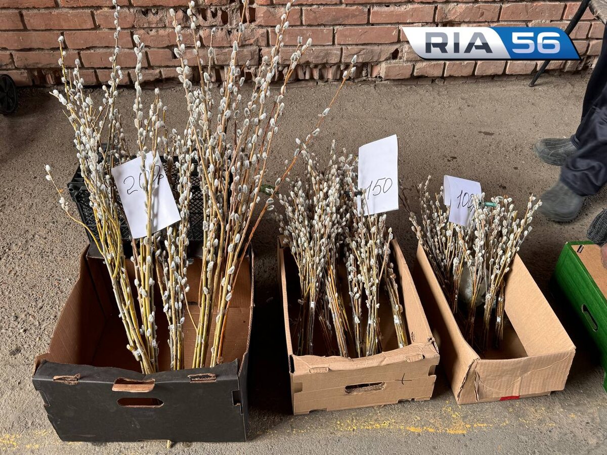  📷    13 апреля — Вербное воскресенье: сколько стоит символ праздника в Оренбурге Андрей Севостьянов