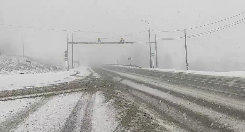 Фото: пресс-служба Госавтоинспекции Челябинской области