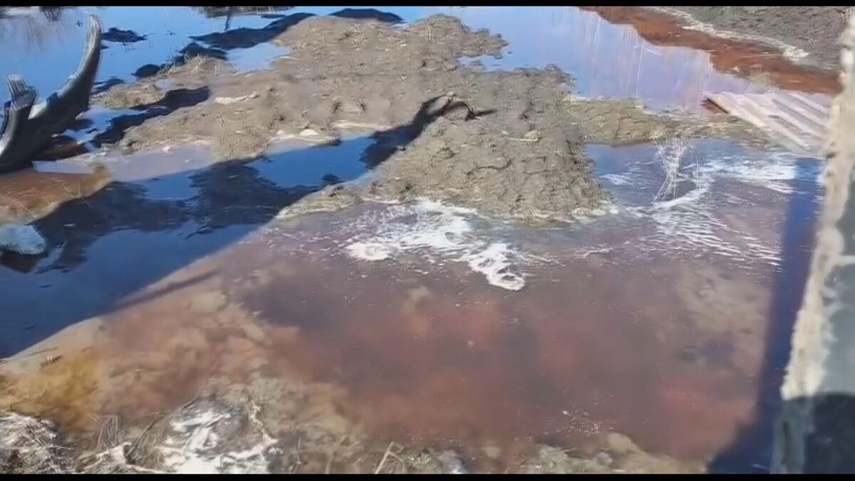     Автор: Юлия Денисенко