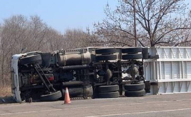    Источник фото: t.me/prim_police