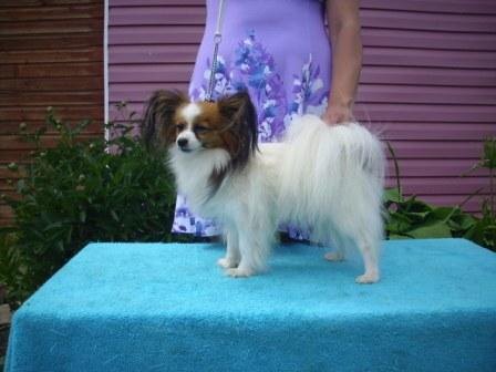 Барон- Ленский Энрике Иглесиас