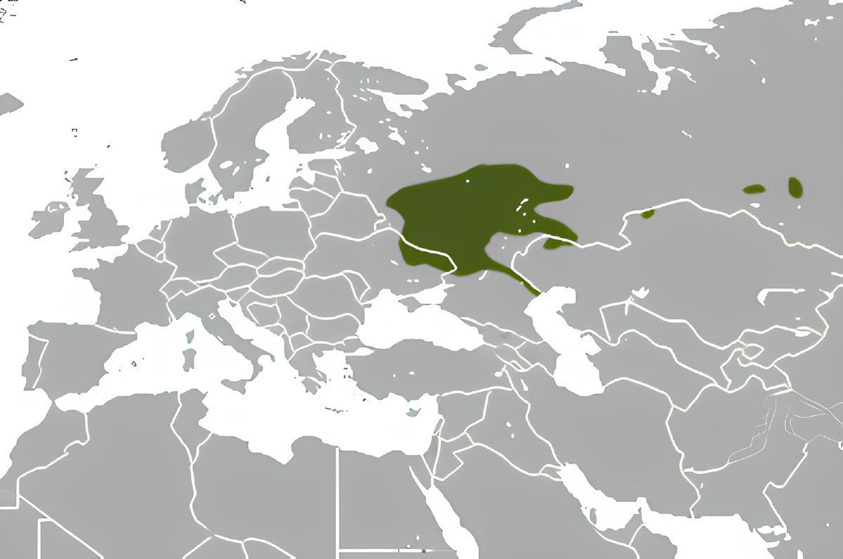 Ареал обитания