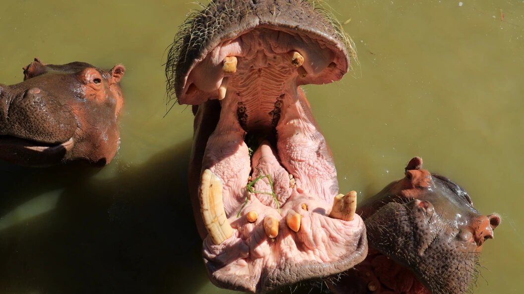    Sui Xiankai/XinHua/Globallookpress