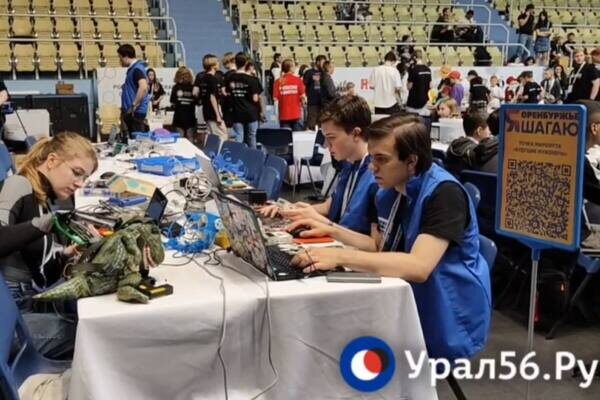    В Оренбургской области в прошлом году начали работать более 300 ИТ-компаний с оборотом 31,1 млрд рублей