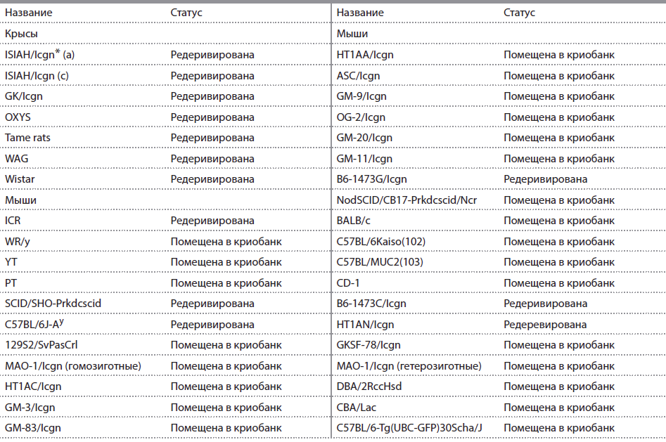 Список редеревированных нами линий мышей и крыс. * Icgn - линия получена в ИЦиГ СО РАН.
