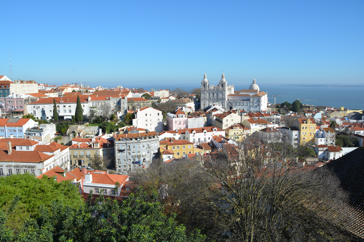 Собственное фото