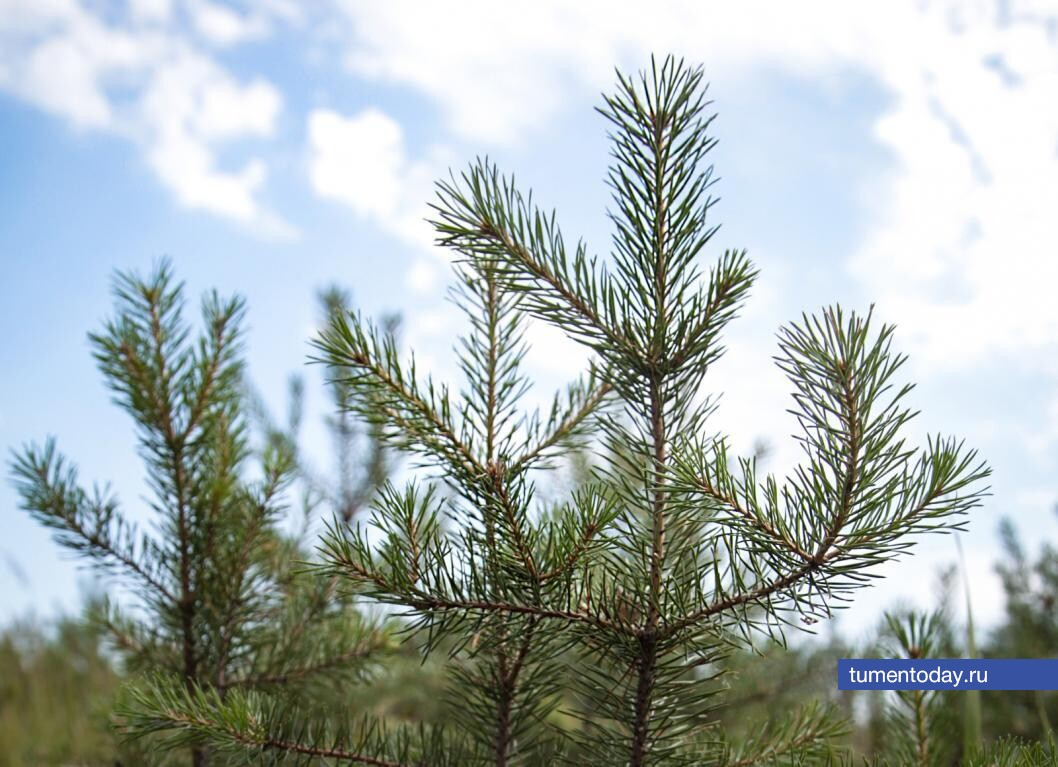 Фото Екатерины Христозовой