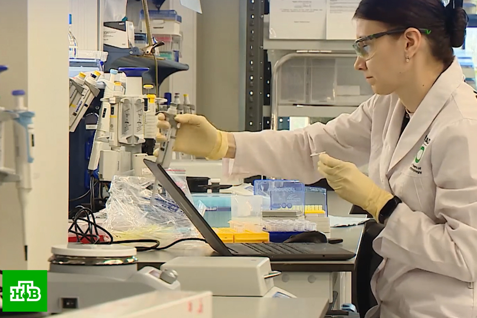 Фото: https://rg62.info