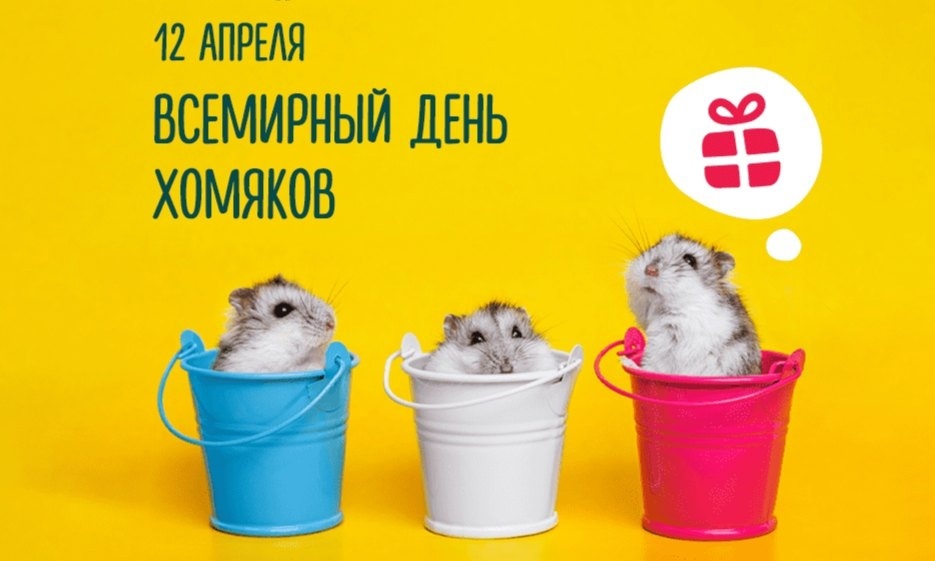 Всемирный день хомяка