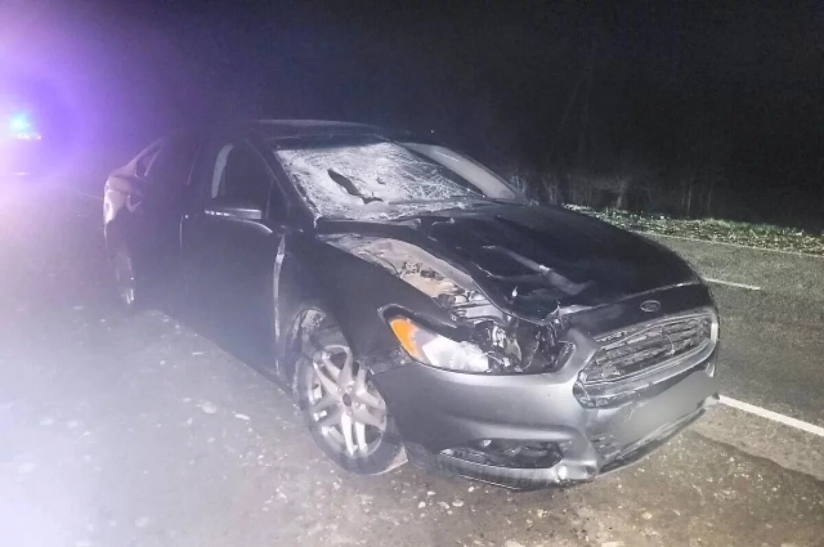    На Ставрополье водитель с 13 нарушениями за 2 года сбил пешехода на трассе