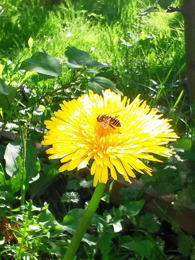 Какая же летом красота!