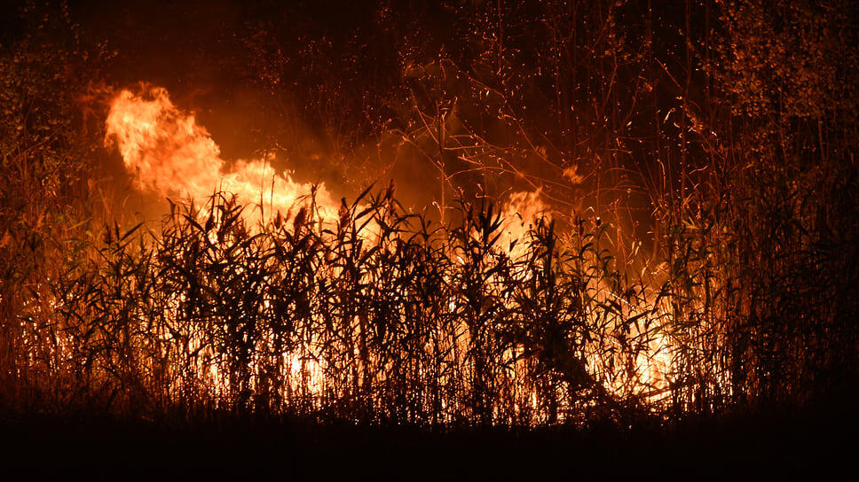 Фото: Олег Харсеев / Коммерсантъ