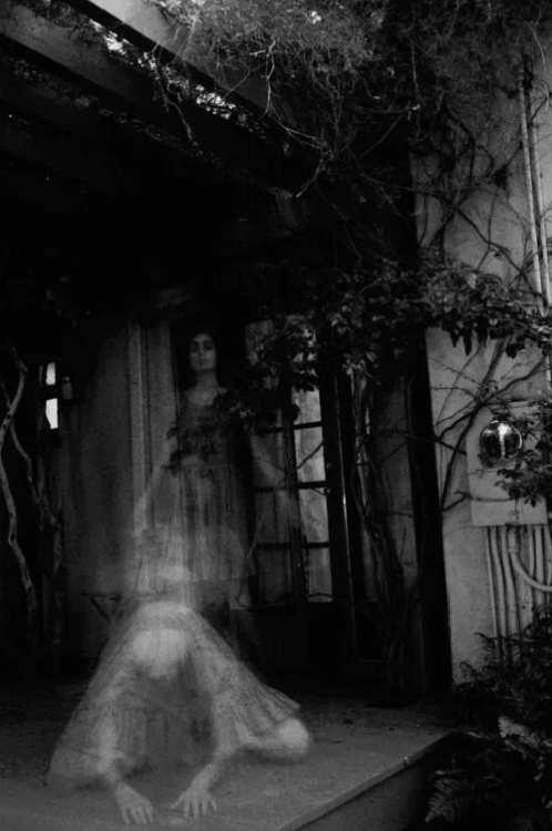 картинка из свободного доступа