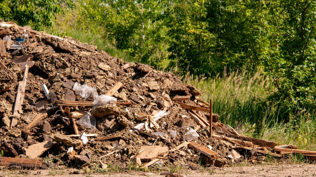    Svetlana Vozmilova/Globallookpress