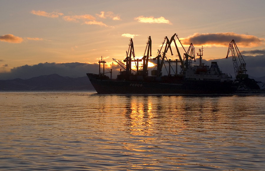 Фото: суда в порту Петропавловск-Камчатский / Артем Безотечество