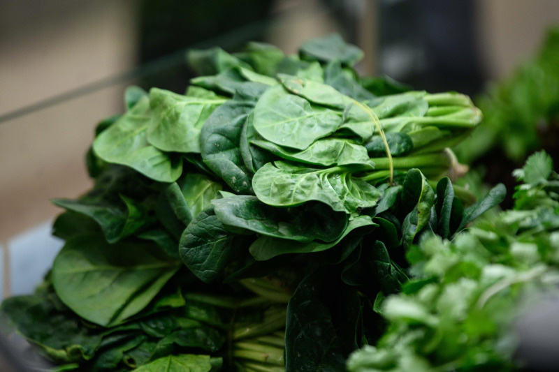    Фото: © Ilya Moskovets/URA.RU/Globallookpress