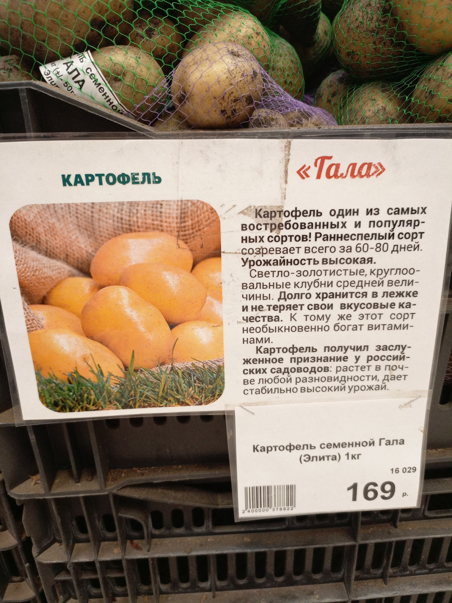 Всегда в продаже бывает сорт Гала