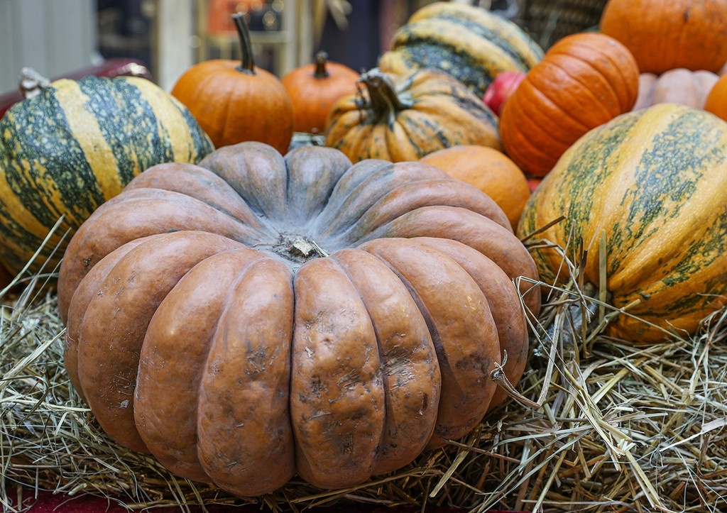    Фото: news.ru Георгий