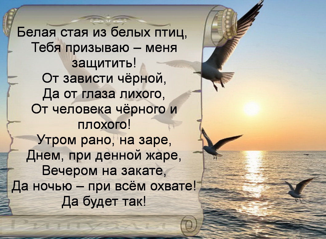 Картинка 2