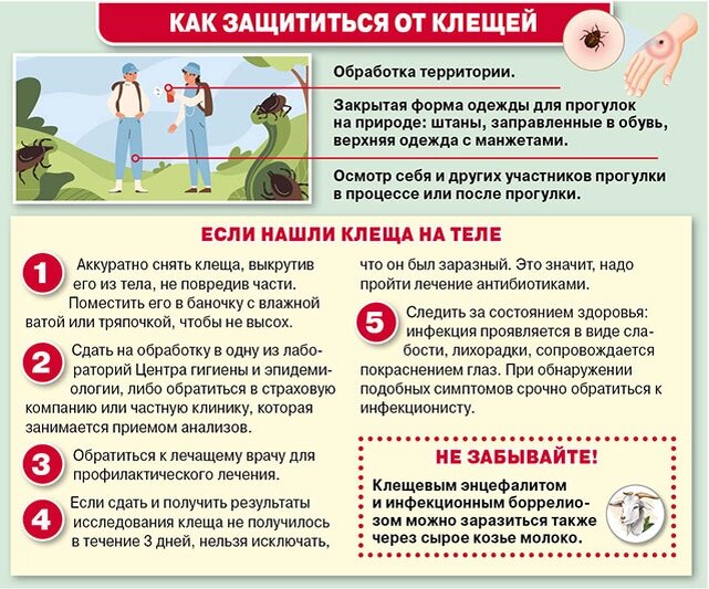    Фото:  АиФ/ Валерий Денисов