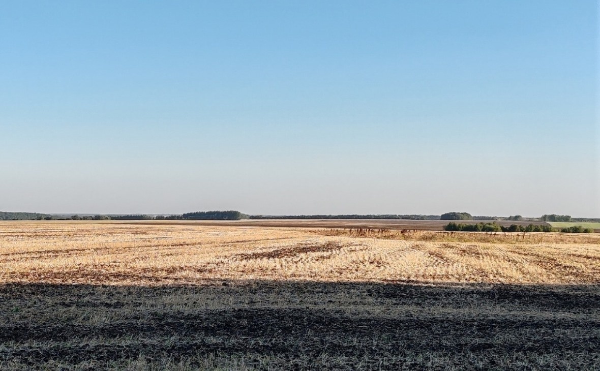 Фото: РБК Черноземье