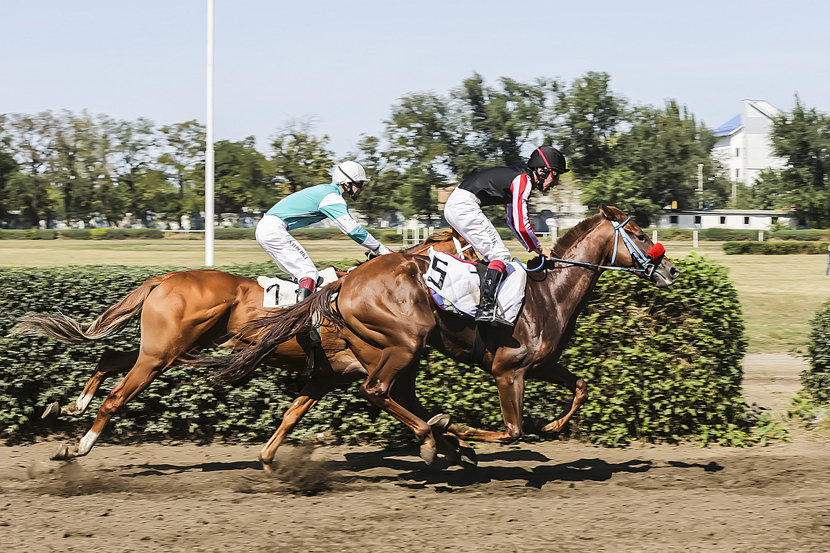    Скачки на Ростовском ипподроме //фото пресс-службы правительства Ростовской области