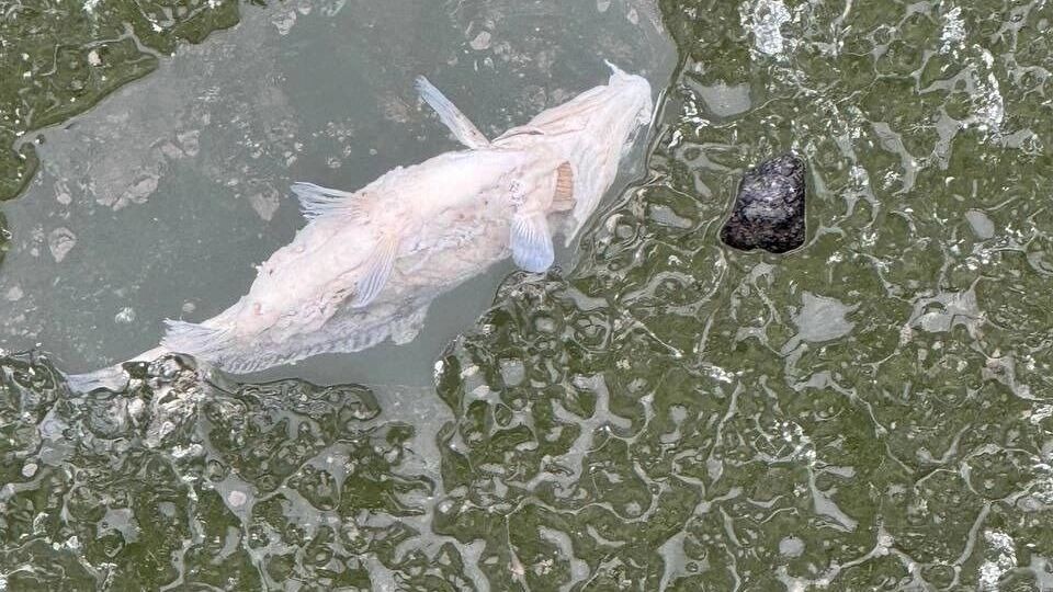     Источник: Ч Тюмень