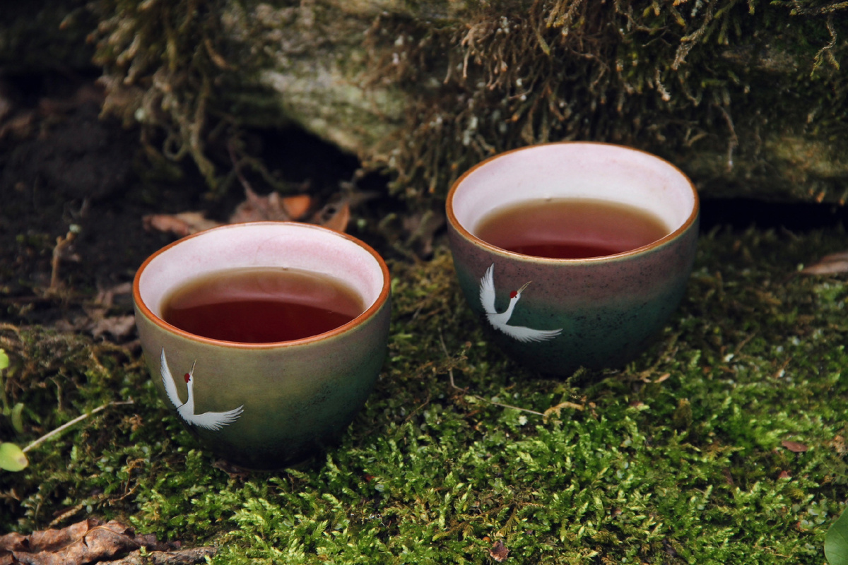 Фото: Юлия Сушко