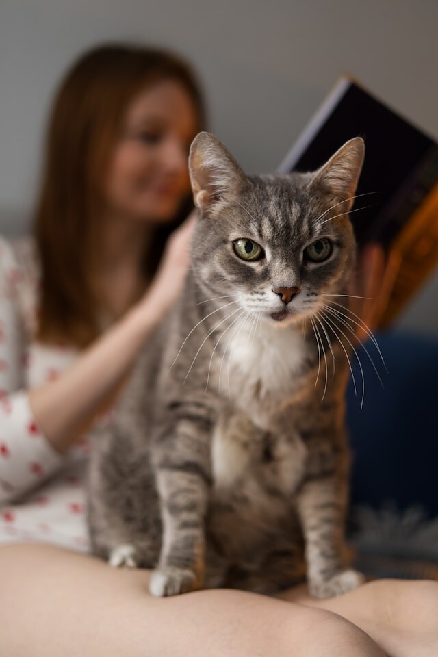 Photo by Aleksandra Sapozhnikova on Unsplash
