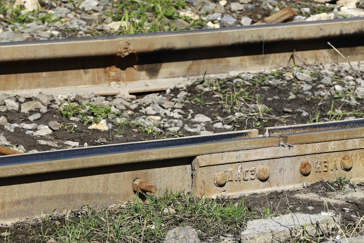 Автор фото: Павел Хацаюк / ИД «Вечерняя Казань»