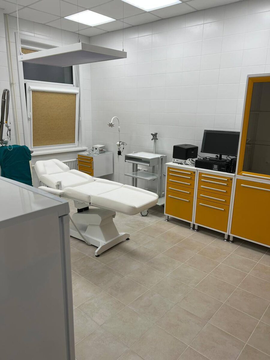 Рабочий кабинет Анны