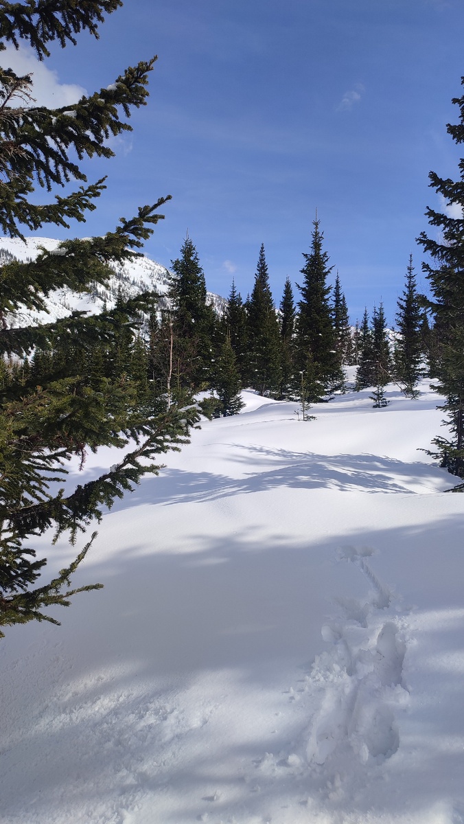 Погода была огонь! Солнце, тепло, плюсовая температура и ещё очень много снега... Фото принадлежит автору. 