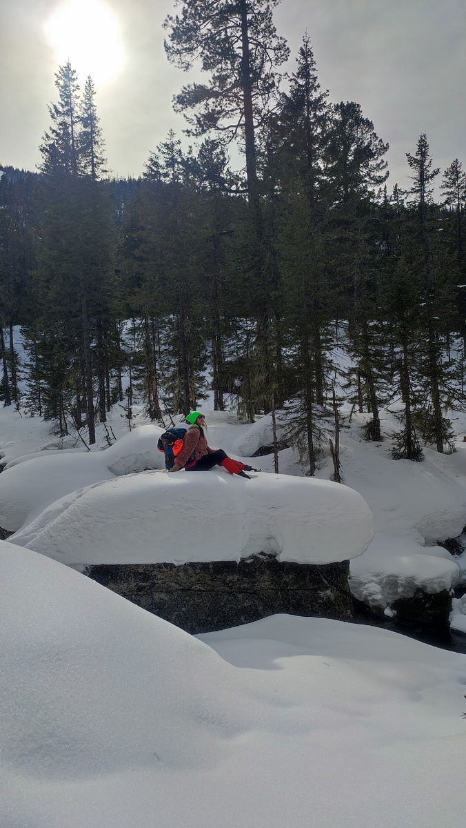 Фото принадлежит автору. На фото автор. 