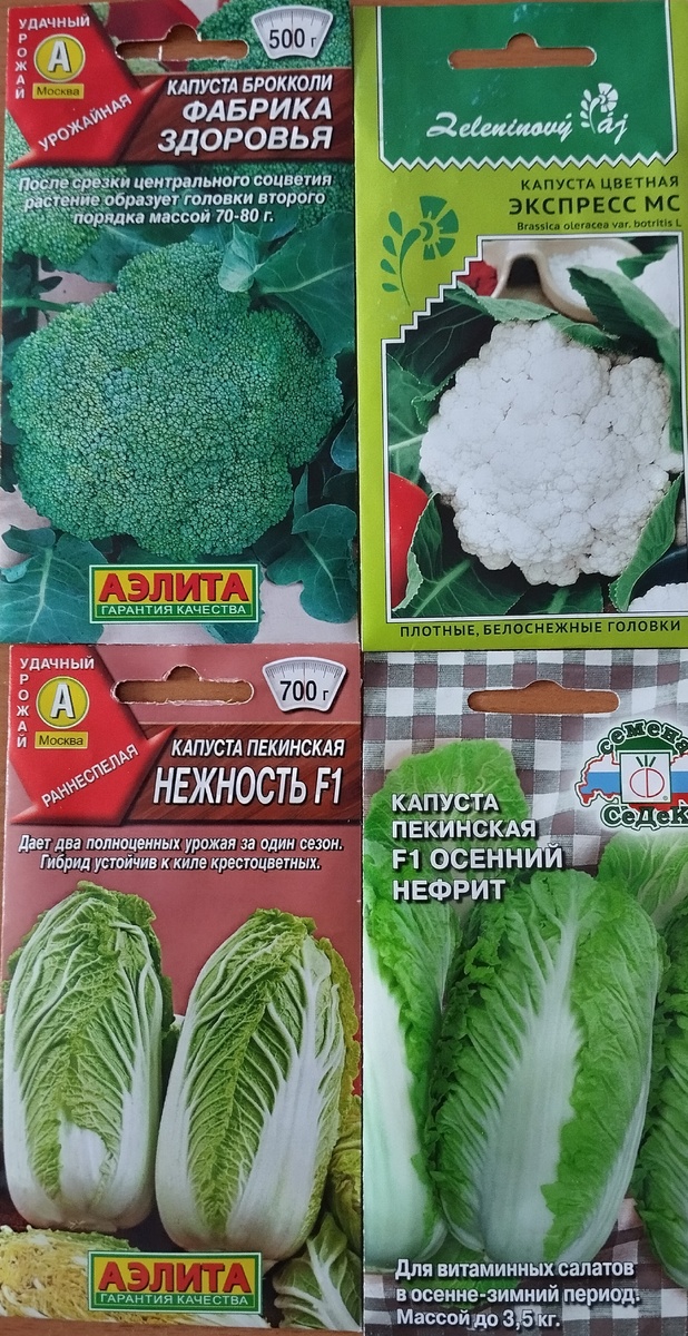 Личное фото автора канала