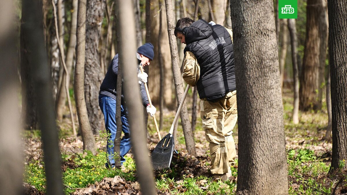    Фото: РИА Новости © 2025, Кирилл Каллиников