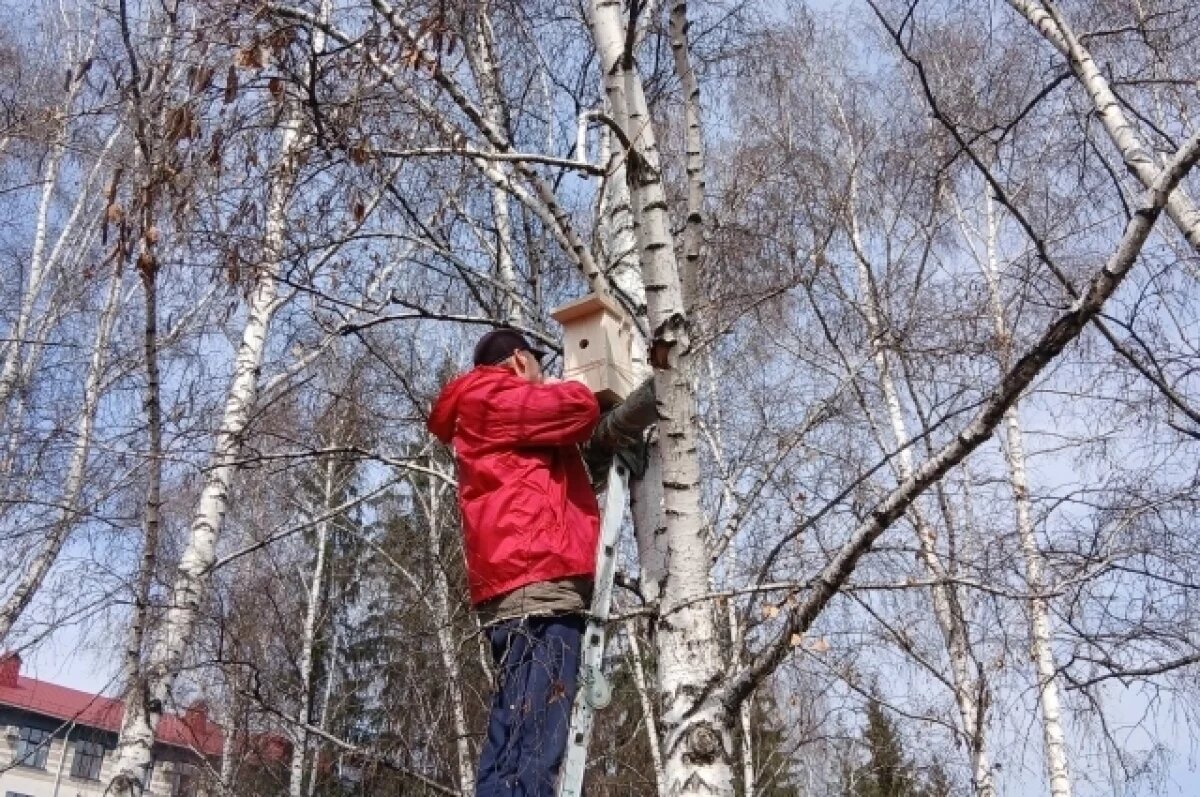    Железнодорожники установили в парках и скверах Кузбасса 40 скворечников