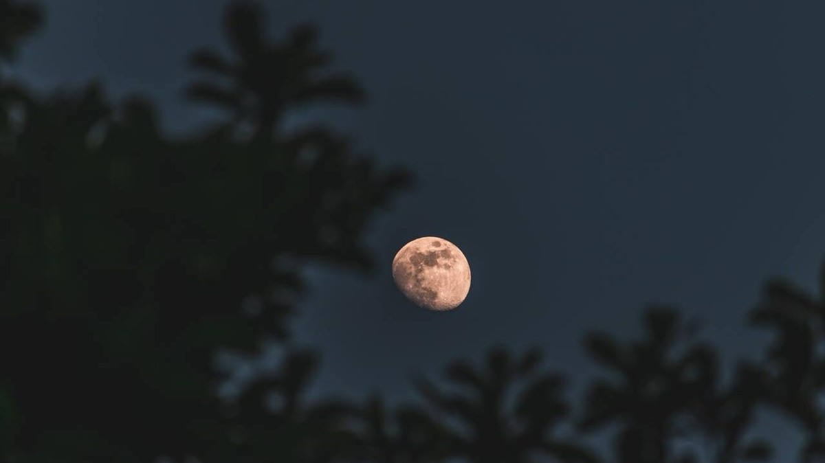    «Розовая Луна» будет видна на всей территории России. Фото: Freepik