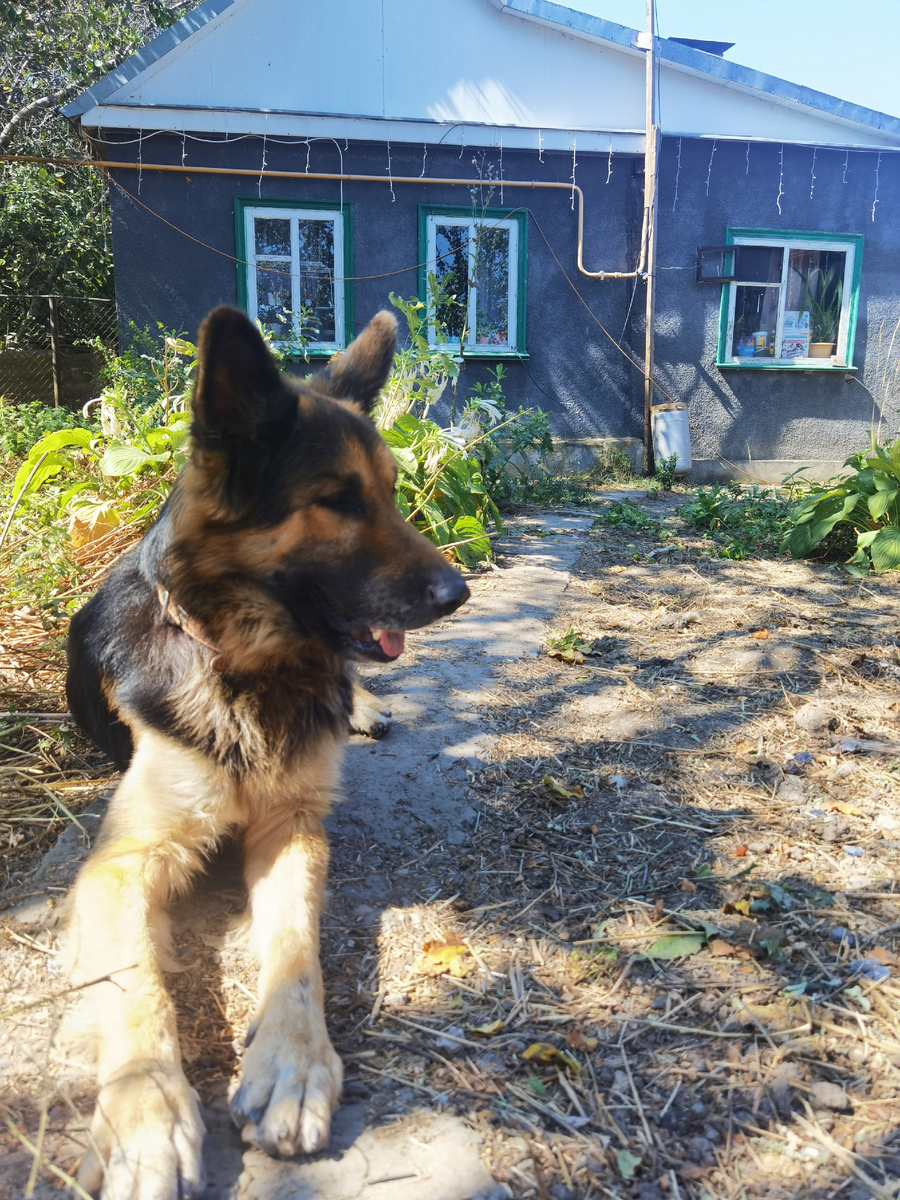 Маленький дом - летняя кухня