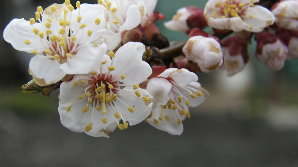 Фото: Николай Титов / Коммерсантъ