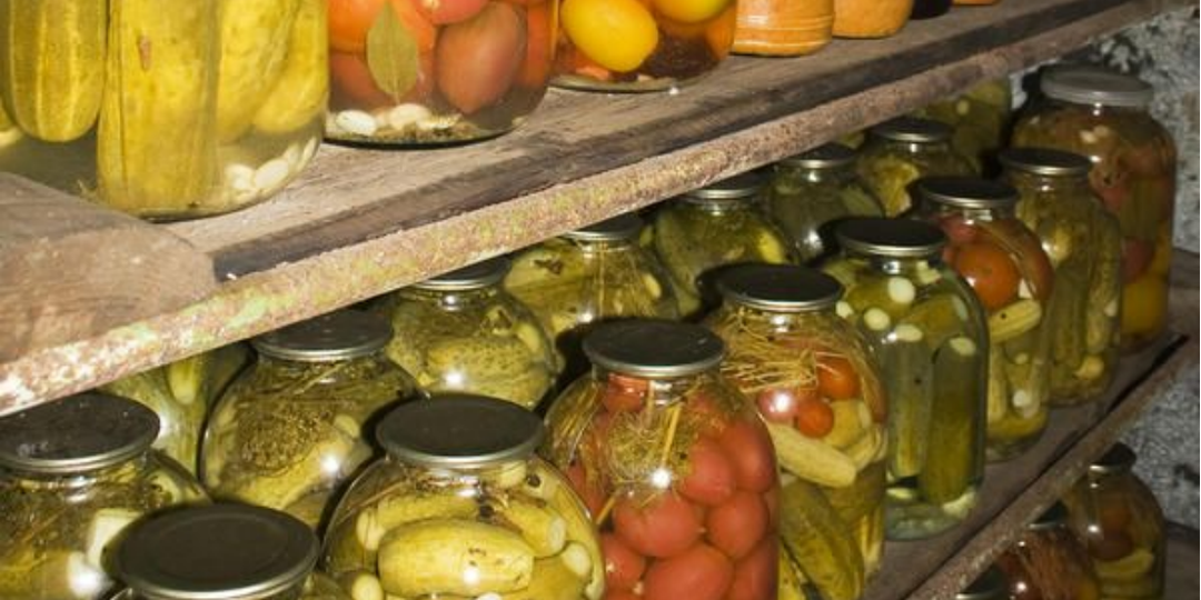 Как защитить погреб от мышей и плесени: простые методы