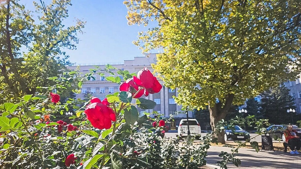     Источник: 1MI