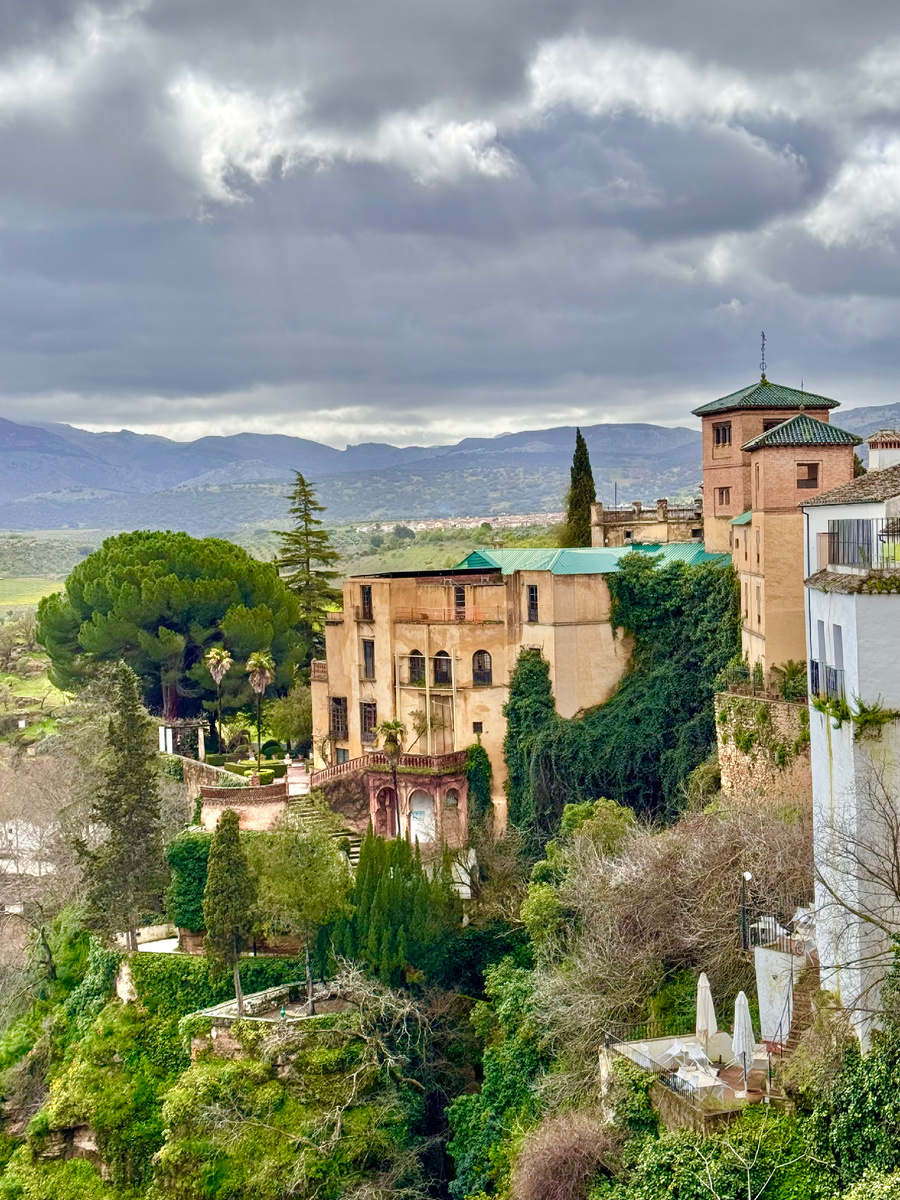 фото Сад в стиле Paradise ®