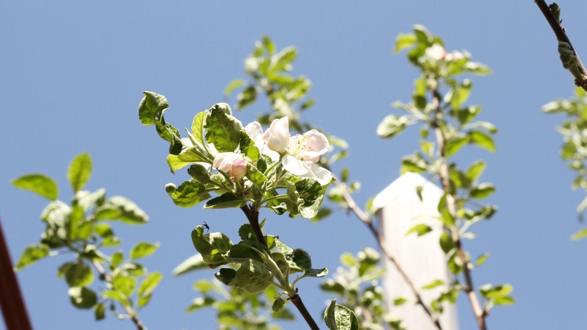     Источник: 1MI