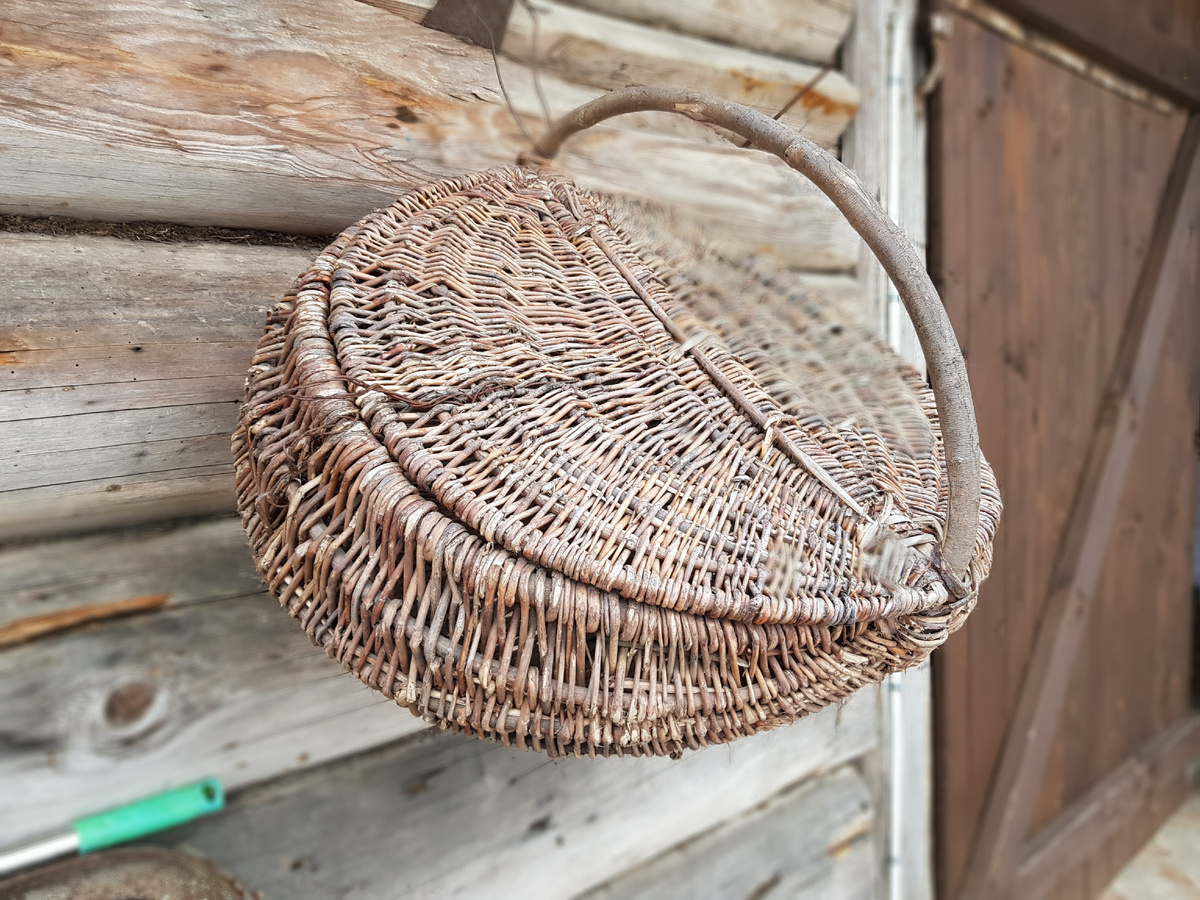 История, старая, как мир: дети доделывают те проблемы, которые получили в наследство от родителей 